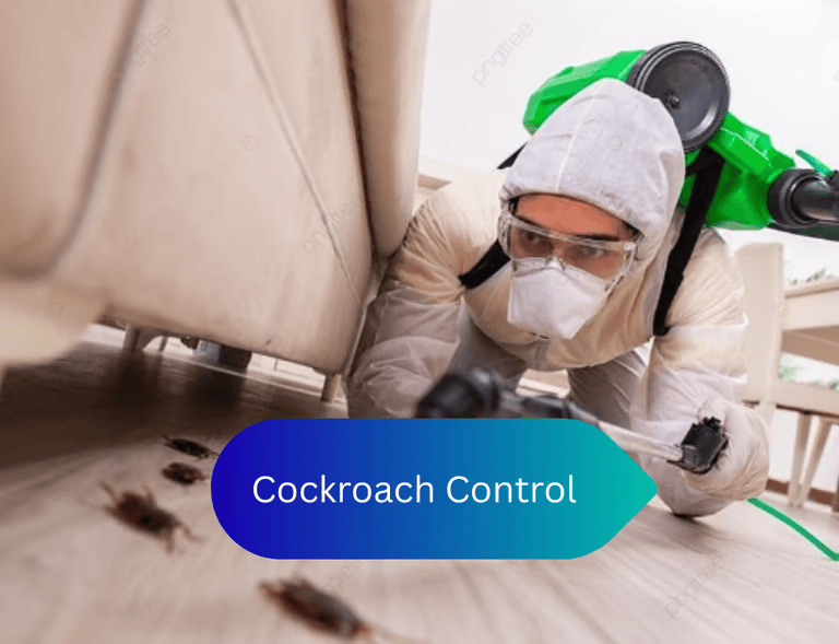 Cockroach Control Service