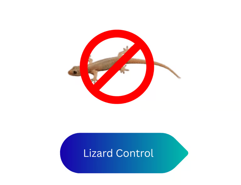Lizard Control