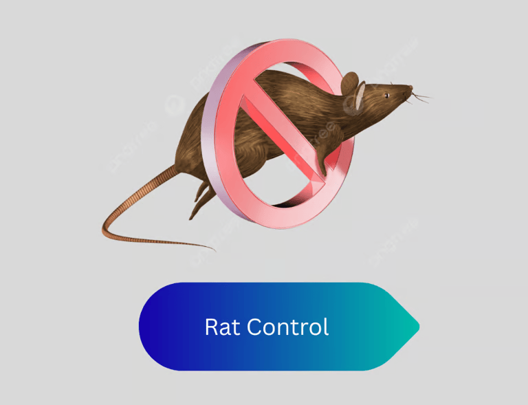 Rat Control
