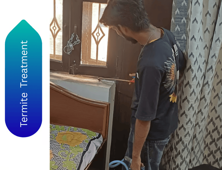 Termite Control Treatment